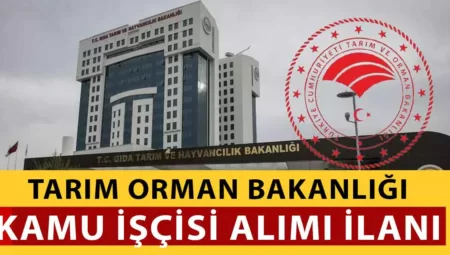 Tarım Orman Bakanlığı 5 Şehir Kamu İşçi Alımı