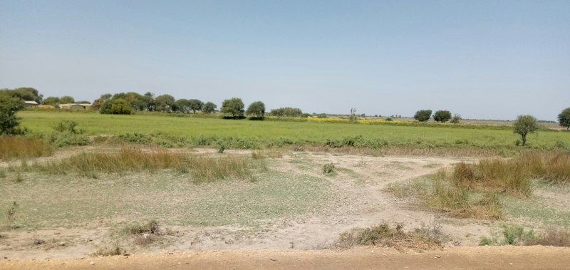 Arsalar Hakkında Güncel Bilgiler Arsalar Hakkında Güncel Bilgiler