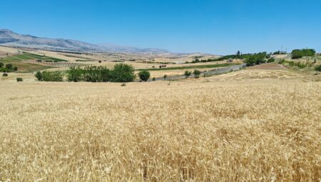 Arsalar Hakkında Mevzuat Değişimi  Son Durum?