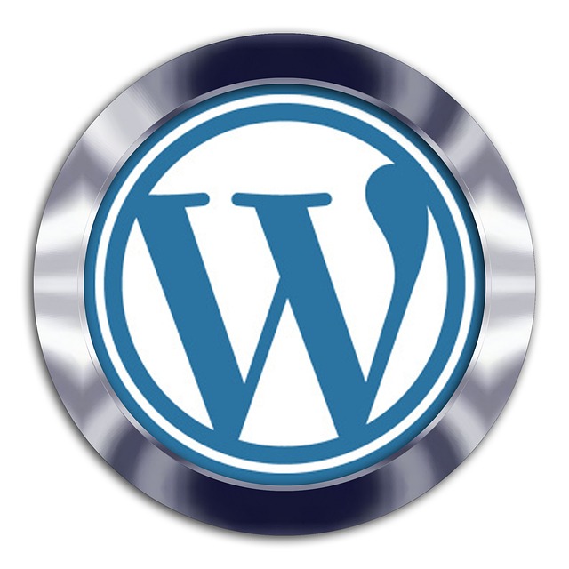 Wordpress Tema Sitesi Kurulum Süreçleri ve Eklentileri