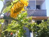Sahibinden Avşa Adasında Kiralık Daire