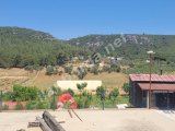 İzmir Menderes’te 10 Dekar Verimli Arazi