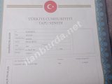 AFŞAR Mahallesinde Villaların Yanında Dümdüz VİLLALIK Arsa
